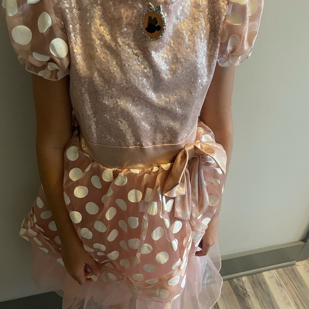 Disney Minnie princess dress
